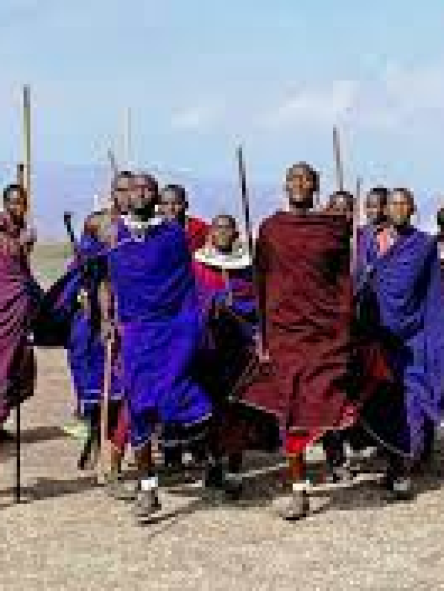 Why Maasai Food Culture Celebrates Drinking Milk And Blood See