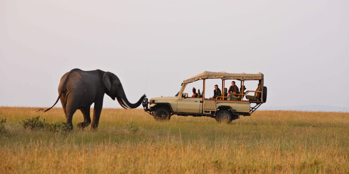 KWS Park Fees 2024 And What Every Tourist Should Know See Africa Today