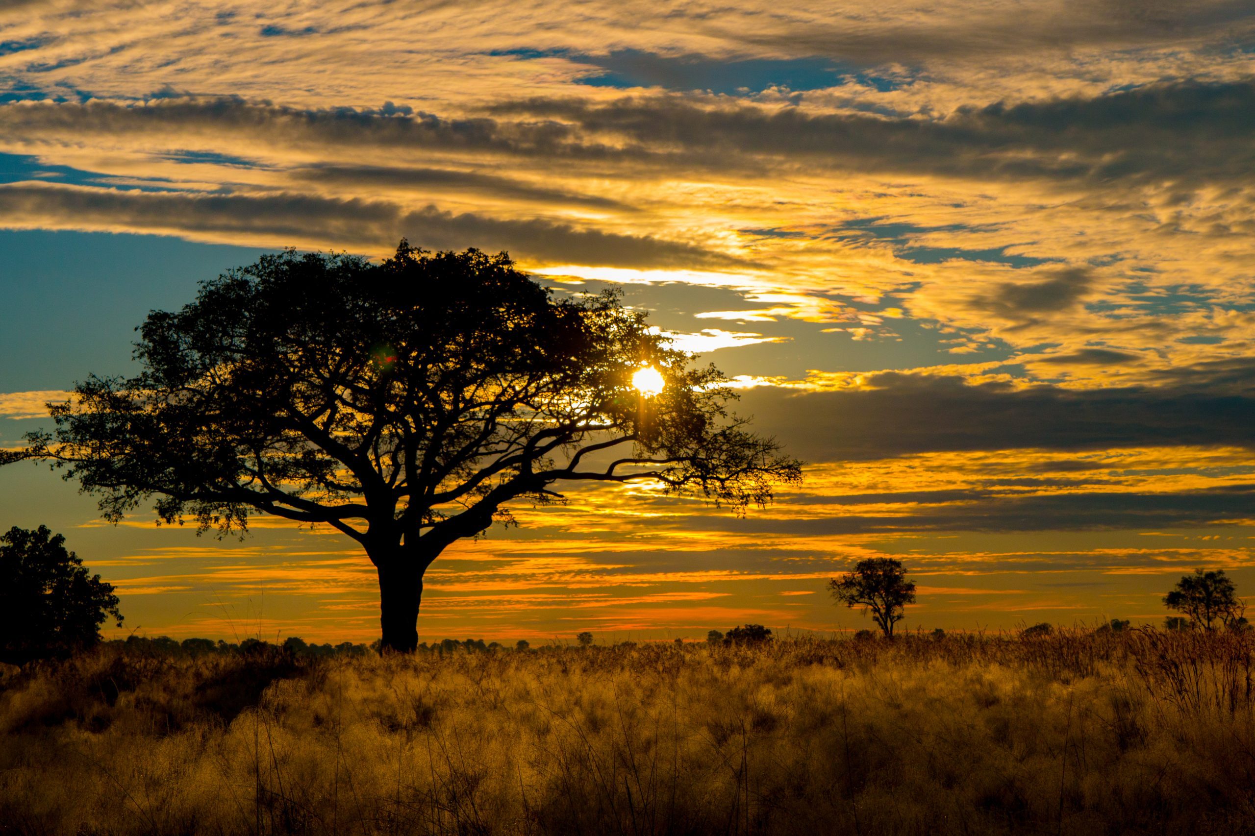 Okavango Delta in Botswana, the place to be before you die