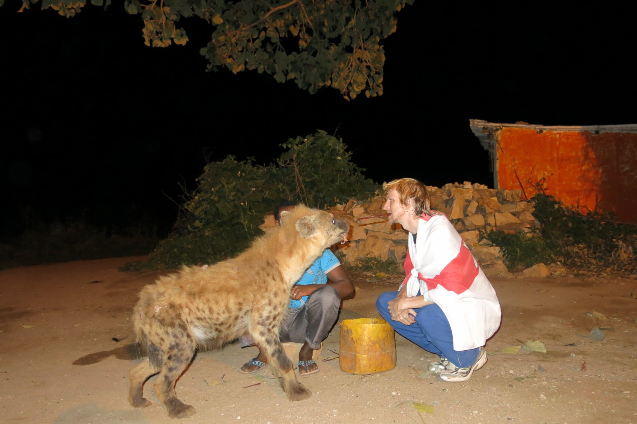 Feeding the Hyenas of Harar, Ethiopia