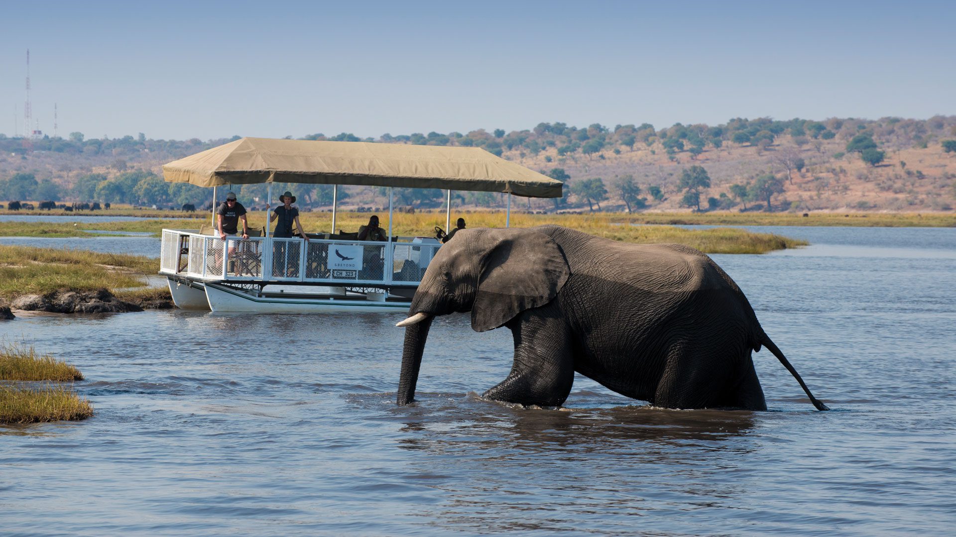 Botswana’s Chobe National Park beauty is charmingly inviting