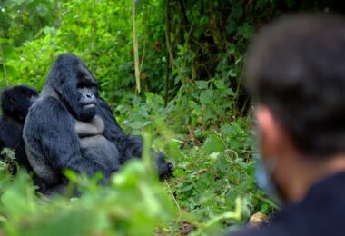 top places to visit in africa 2026