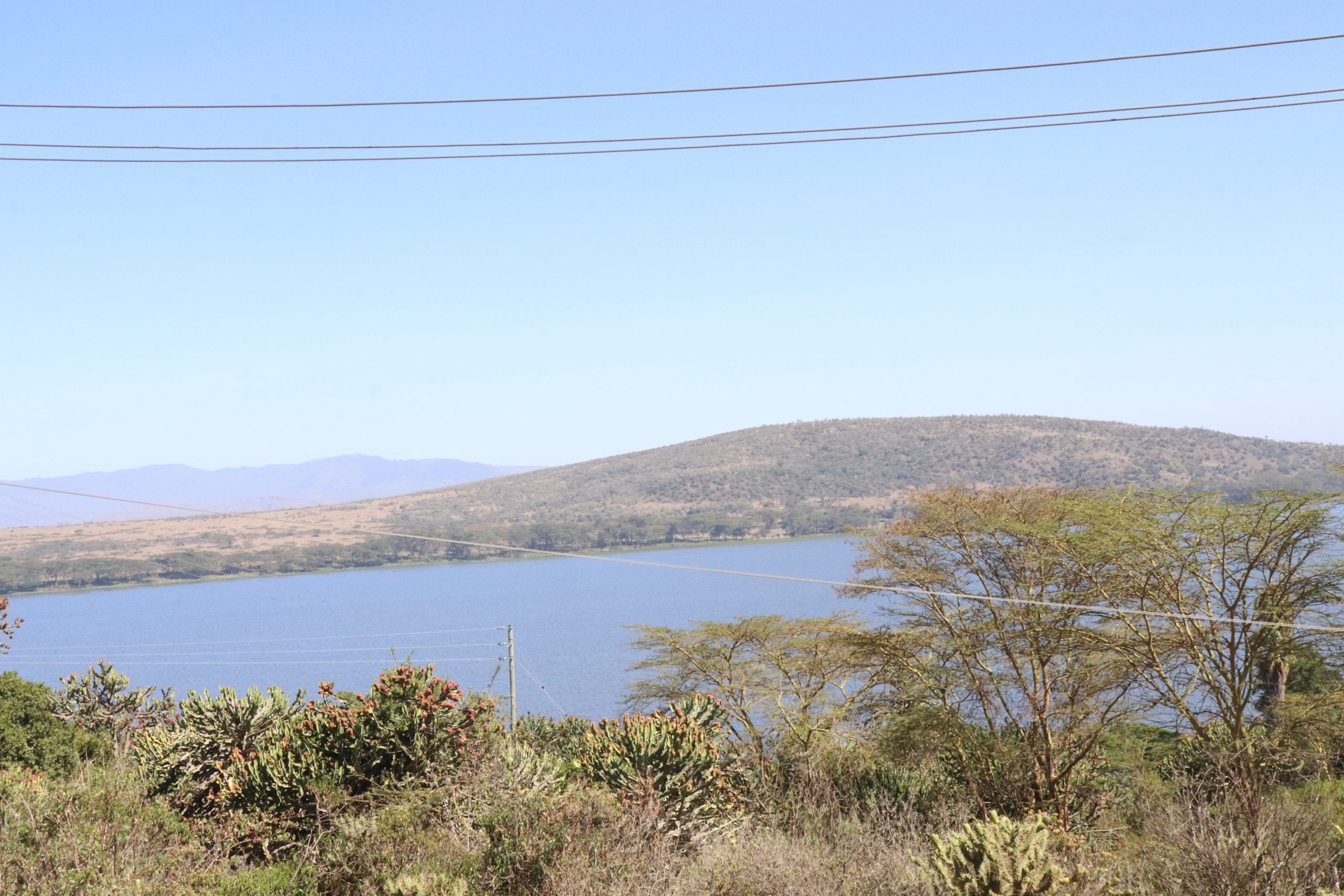 Unmasking Lake Naivasha, Kenya