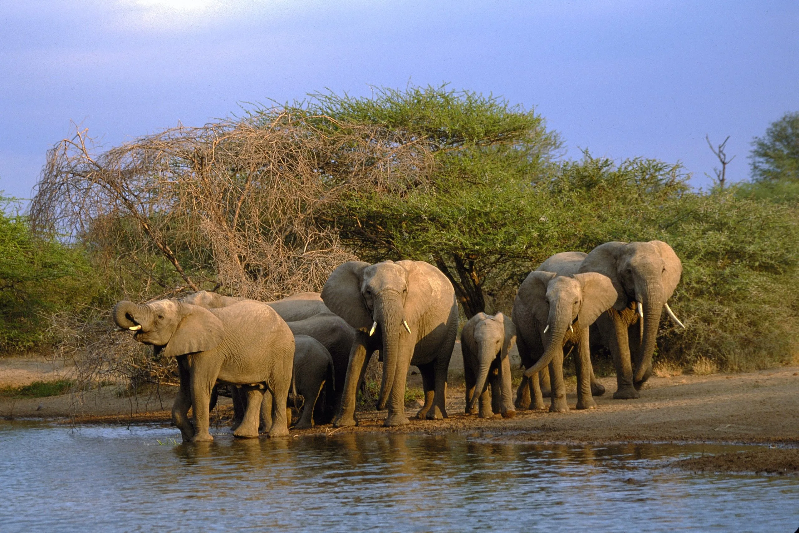 Top 4 destinations you should visit in South Africa
