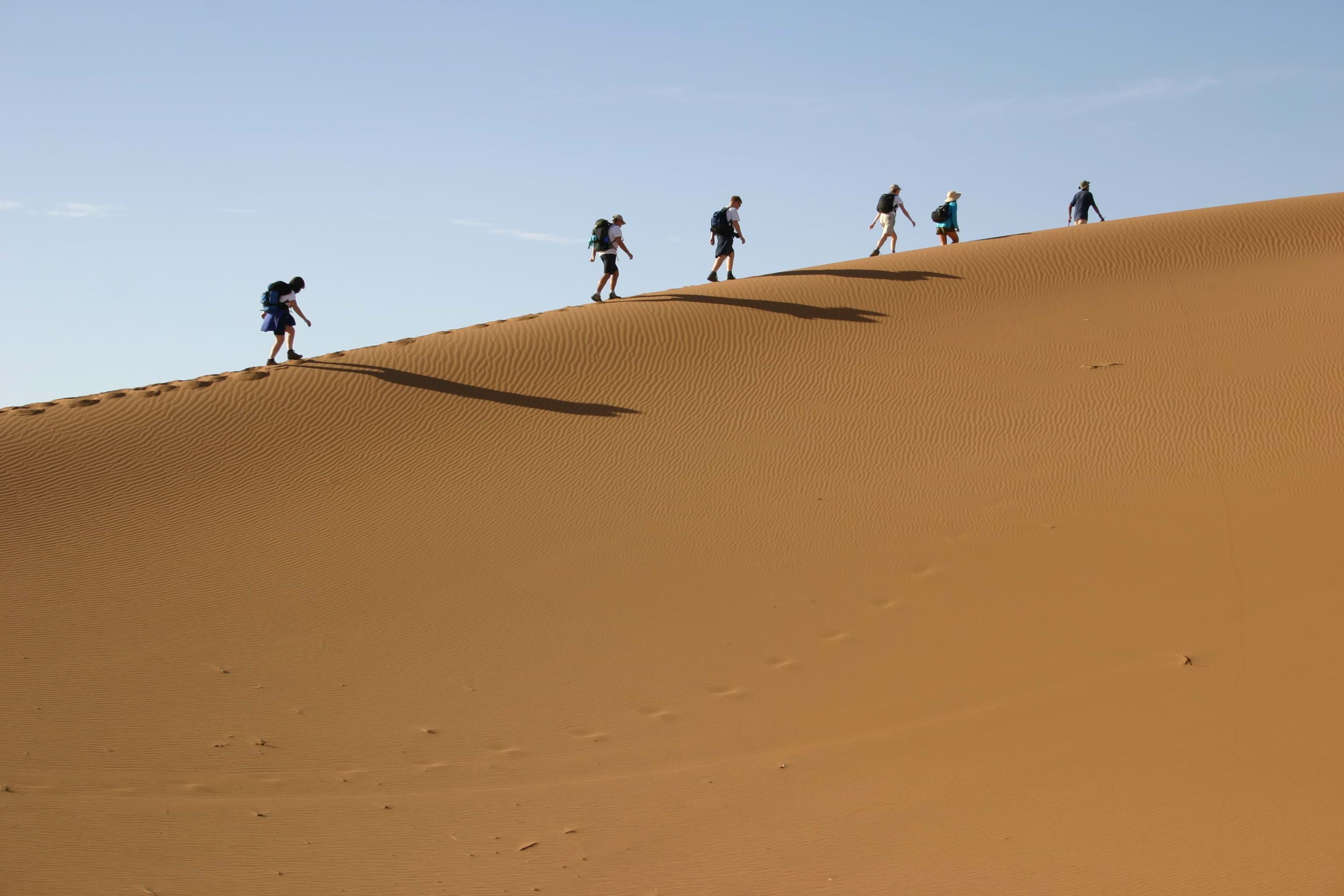 Sand dunes in The Sahara