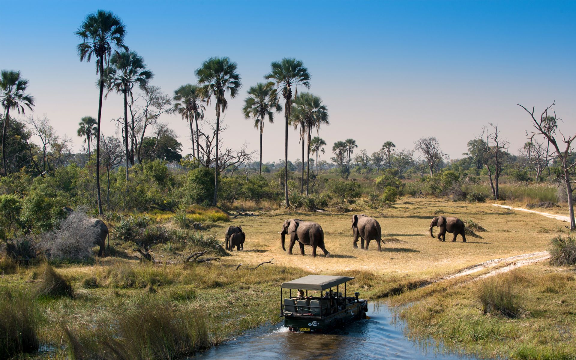 Okavango Delta in Botswana, the place to be before you die
