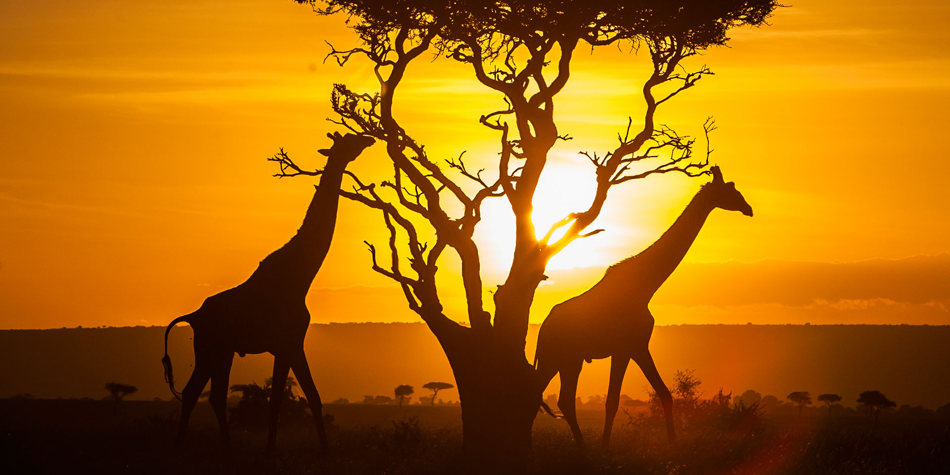 7 little-known beautiful places you must visit in KenyaA7 little-known beautiful places you must visit in Kenya