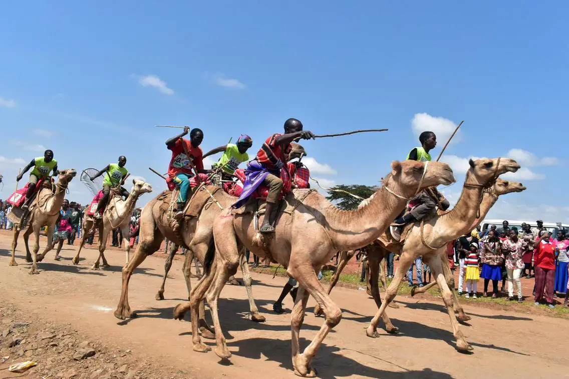 Kenya's best Camel Race: Maralal International Camel Derby in Samburu