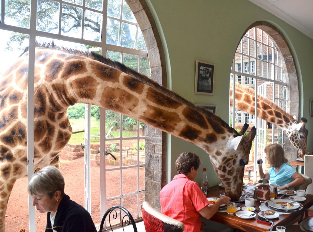 Cheap ways to enjoy your weekend in Nairobi, Kenya