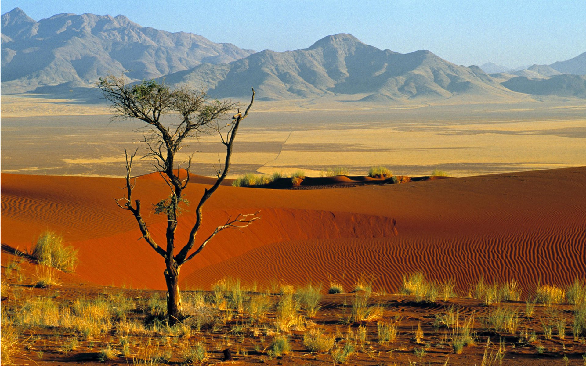 A honeymoon experience at the NamidRand Reserve, Namibia