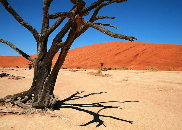 Ghostly Dead Vlei, Namibia 