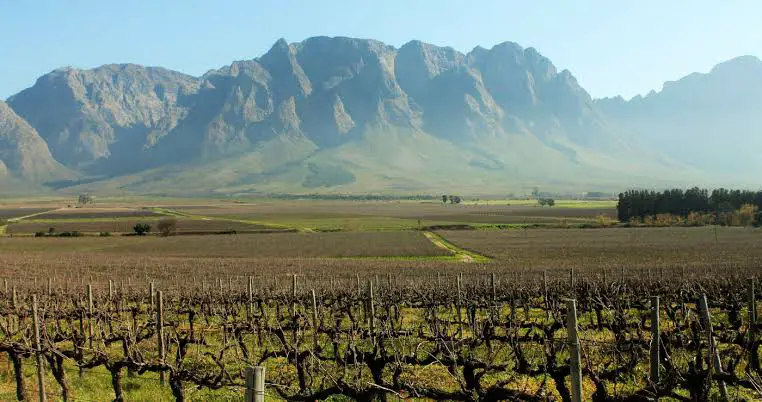 Adventure in South Africa’s Breedekloof Wine Valley