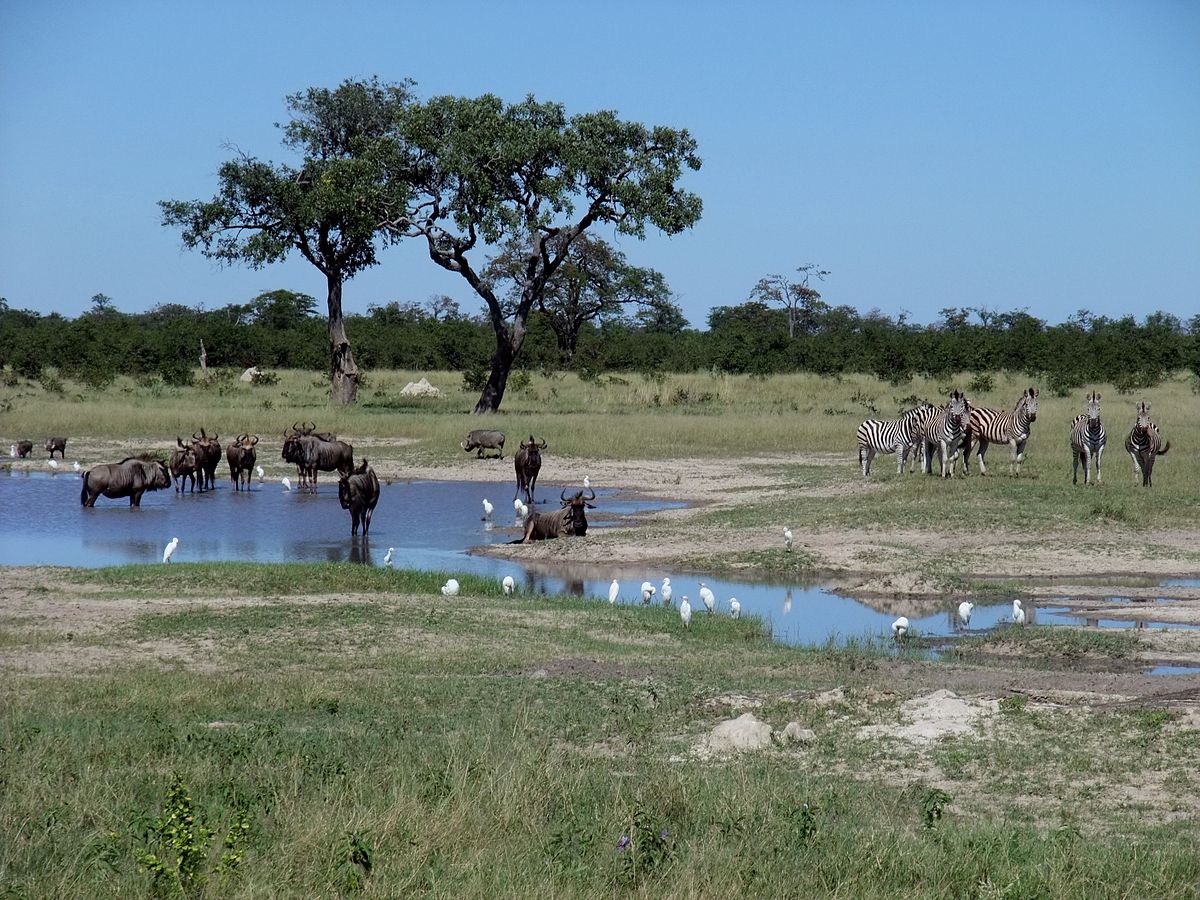 The beauty of travelling to Botswana in February