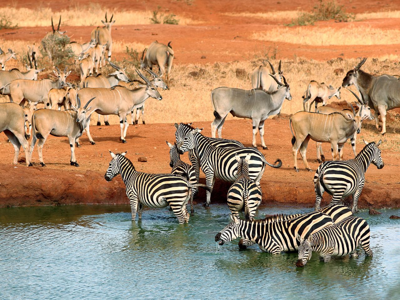 Tsavo National Park