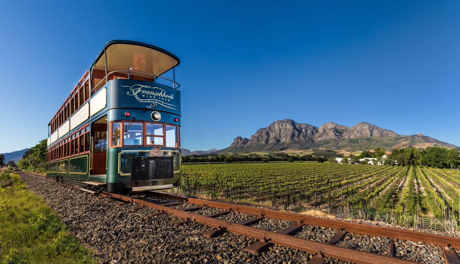 Breathtaking tour of South Africa’s ancient vineyards through Franschhoek Wine Tram