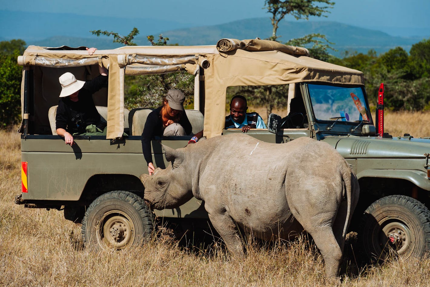 Experience Kenya’s wild safari excellence at the Ol Pejeta Conservancy