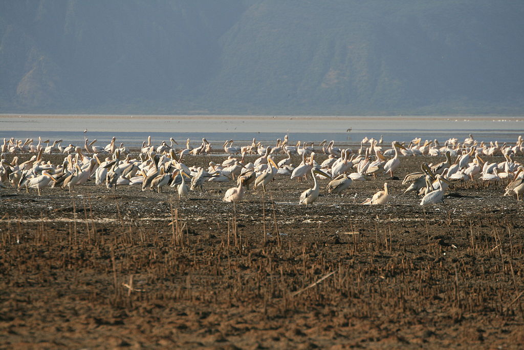 The Most Spectacular Lakes In Tanzania See Africa Today   Lake Eyasi 