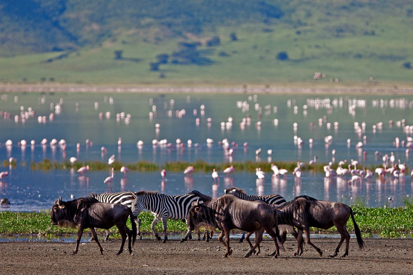 The most spectacular lakes in Tanzania