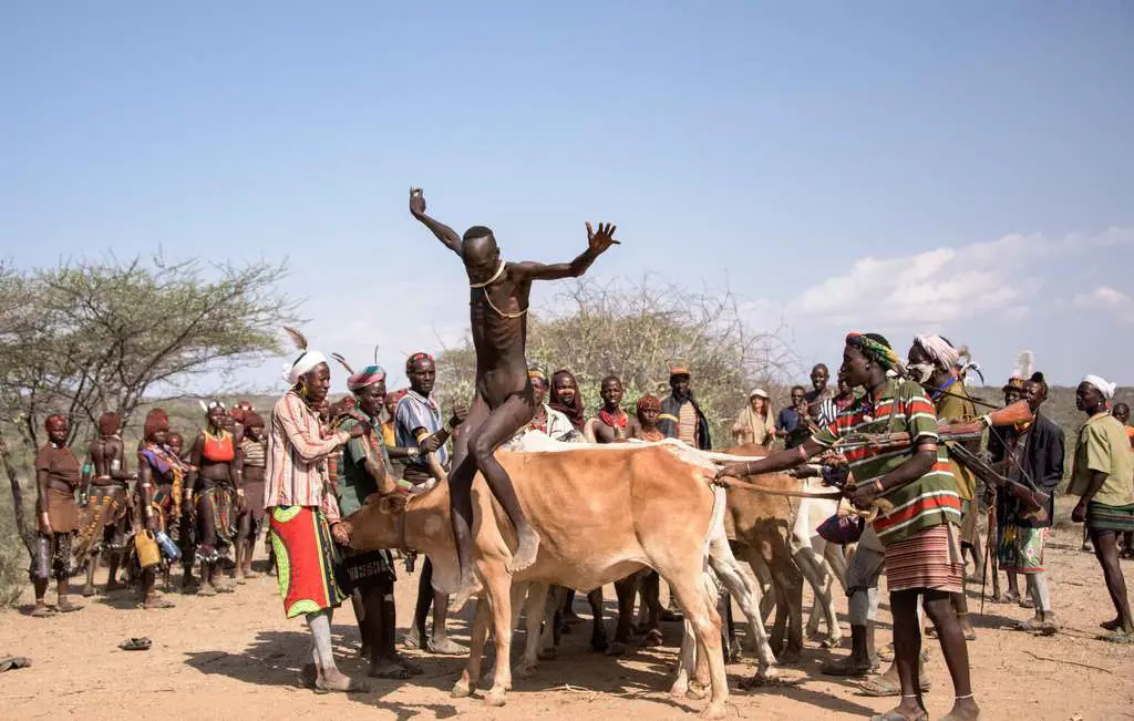 Ethiopia’s bull-jumping rite of passage the separates Hamer boys from men