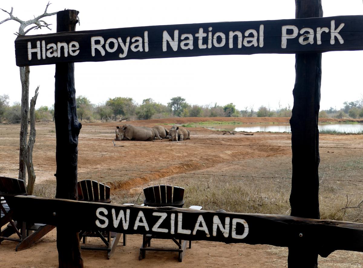 Experience a royal tour of Swaziland's Hlane Royal National Park