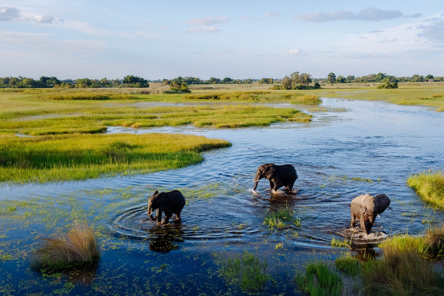 Botswana's Okavango Delta, The Jewel Of Kalahari