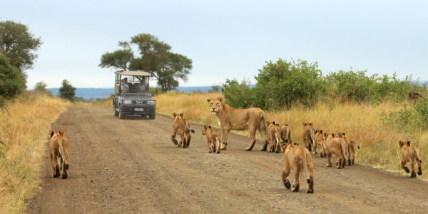 A game drive in South Africa