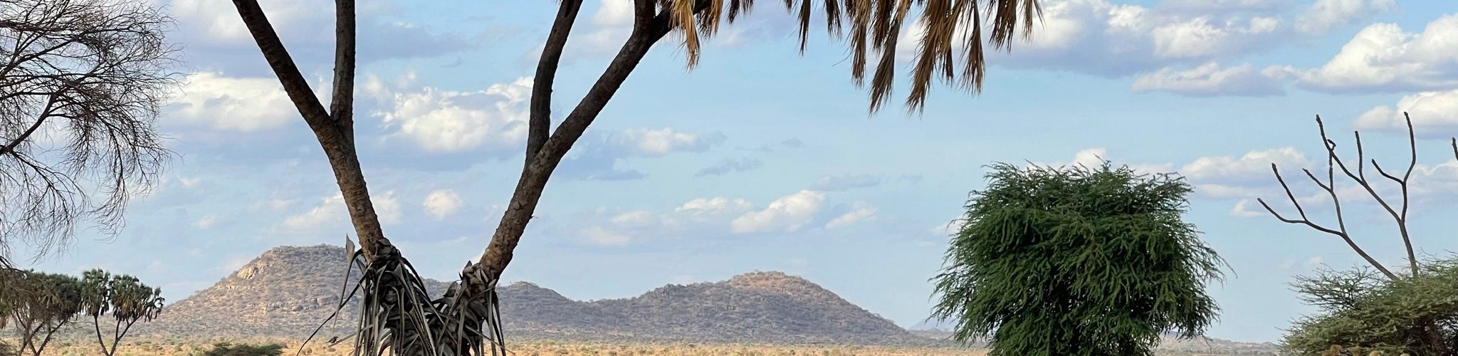 Tourism in Samburu County