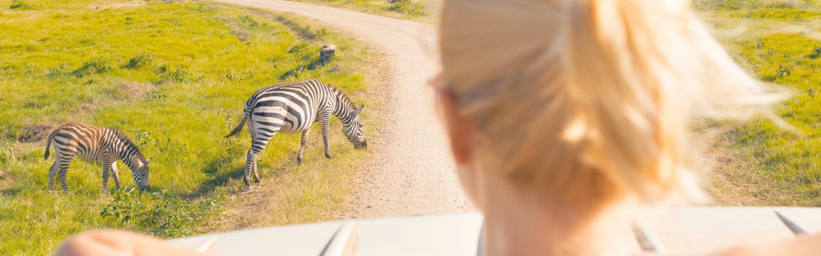 An American tourists