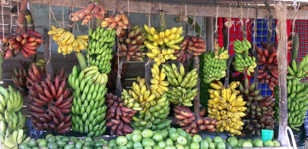 Bananas in Uganda 