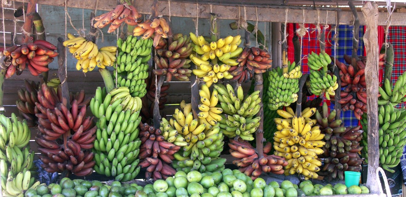 Why Bananas In Uganda Make A 1 Kg Meal Daily See Africa Today   Bananas 2 1320x640 