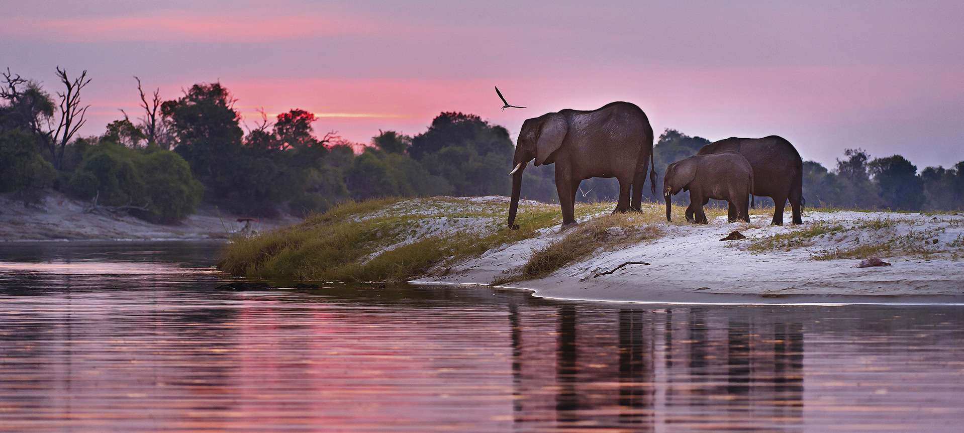 tourism facts about botswana