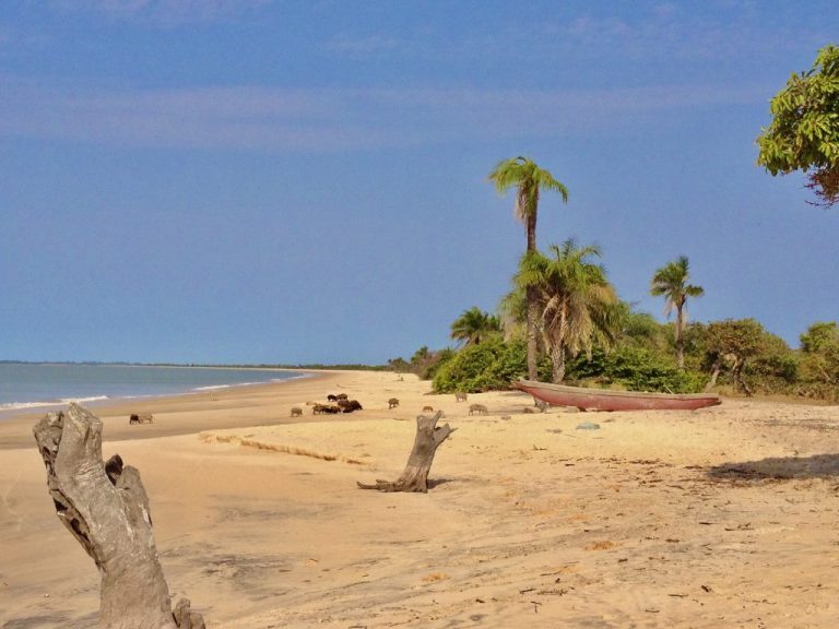 8 Best Places To Visit In Guinea-Bissau - See Africa Today