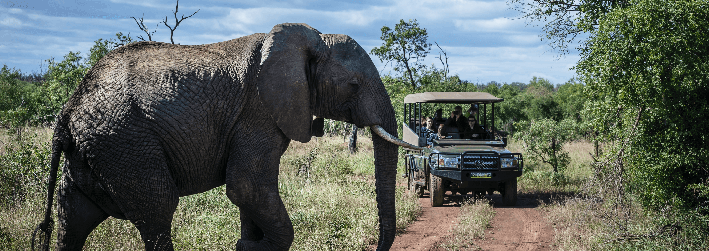Hlane Royal National Park