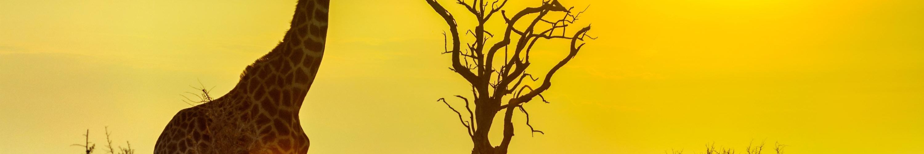 Kruger National Park