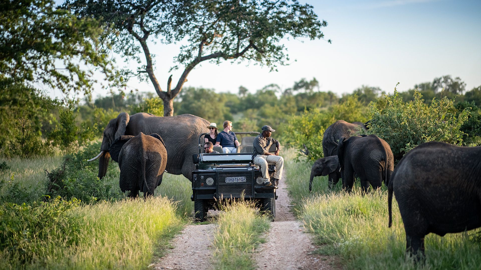 Kruger National Park South Africa.