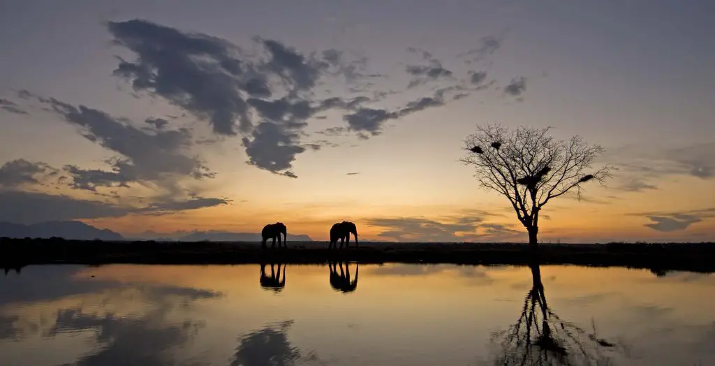 Kruger National Park sunset