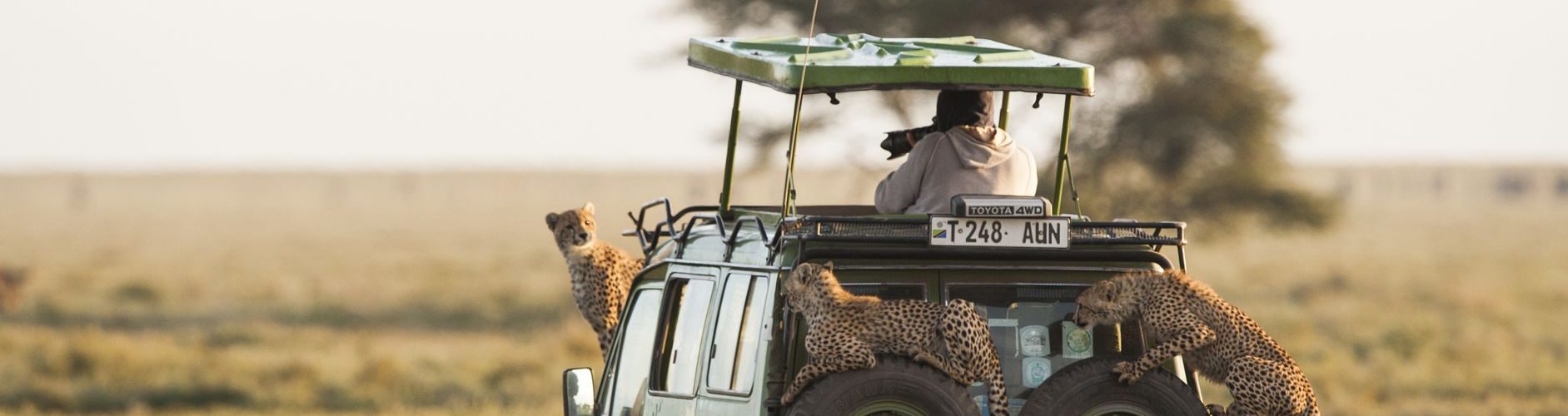Serengeti Tanzania Safari
