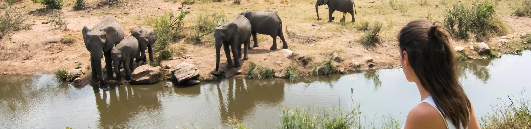 The best time to Visit South Africa