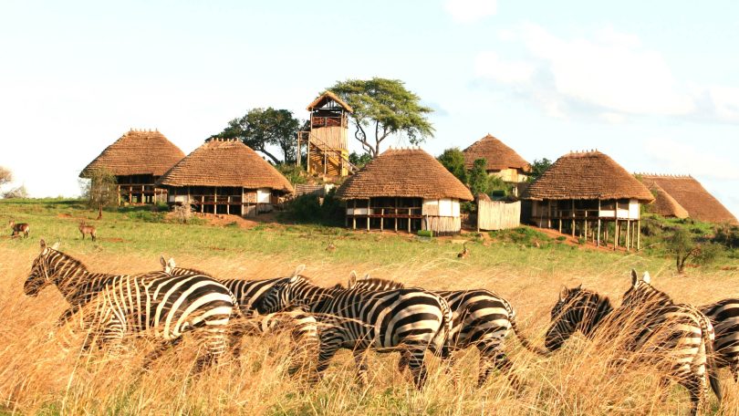 Ugandan Safari
