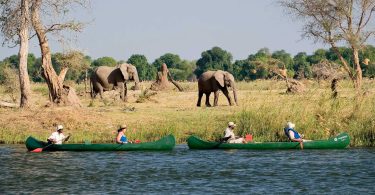 zimbabwe elephant canoeing at ruckomechi camp dana allen