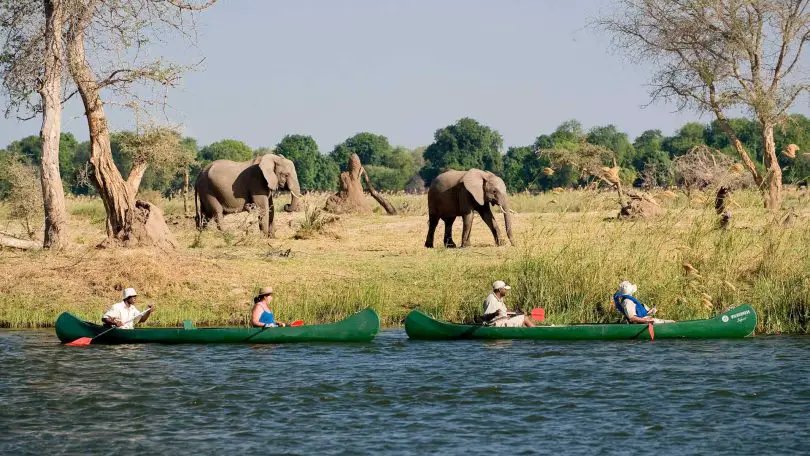 zimbabwe elephant canoeing at ruckomechi camp dana allen