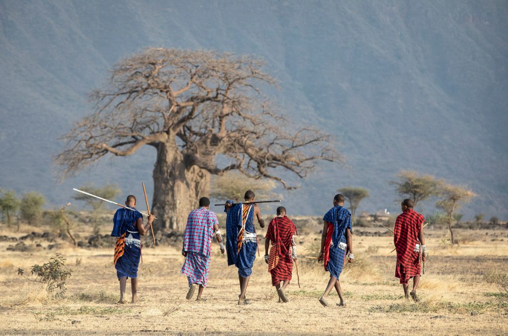 Hamer People: African Tribes