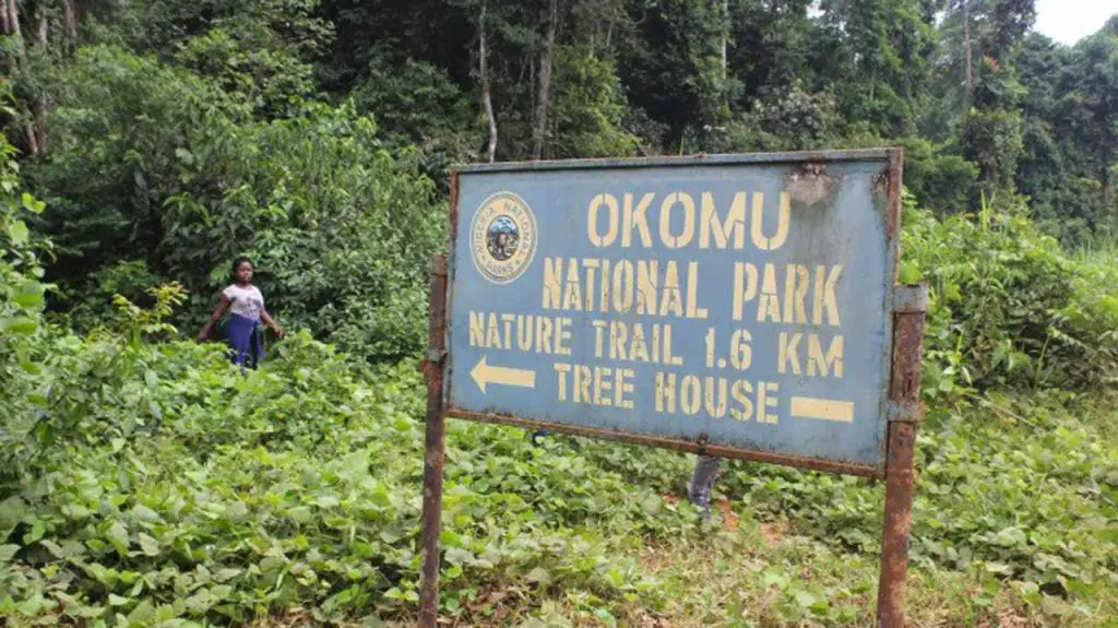 Okomu National Park