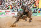 Senegal Wrestling rules Explained In-Depth