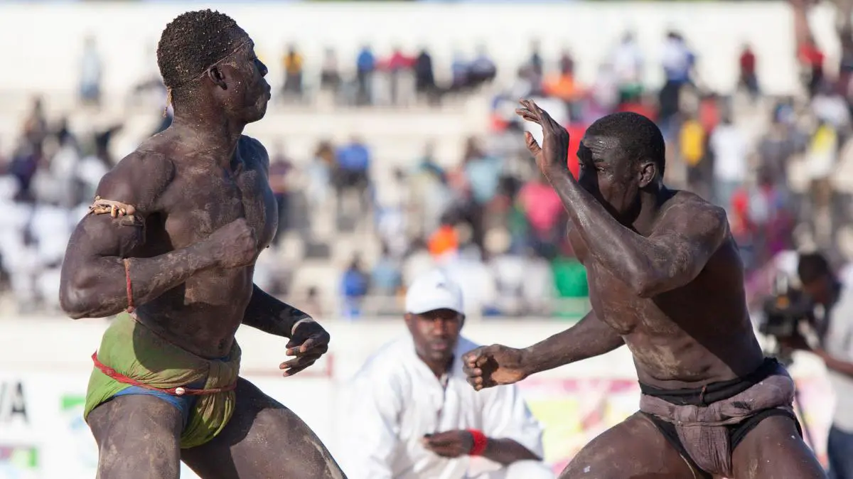 Senegal Wrestling rules Explained In-Depth. 