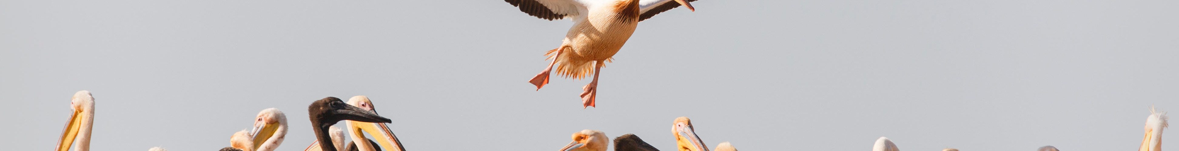 UNESCO World Heritage Sites in Senegal