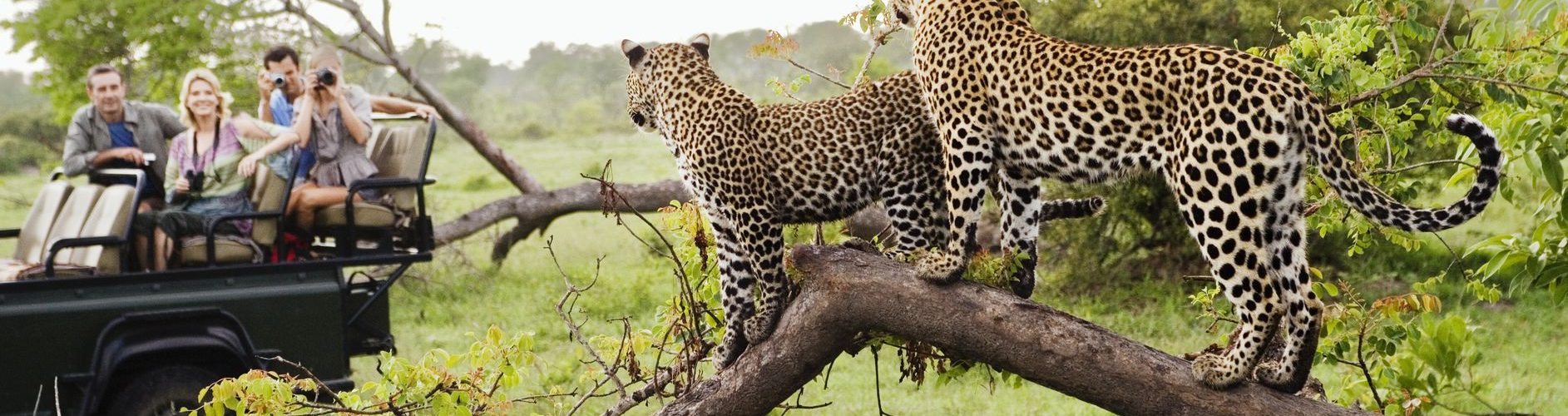 visiting africa in december