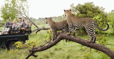 Topmost visited attractions in Africa