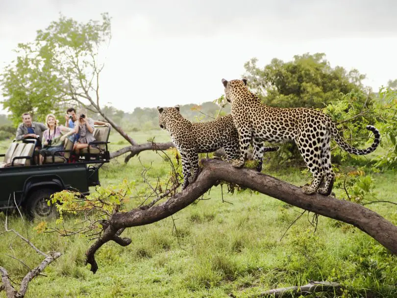 Topmost visited attractions in Africa