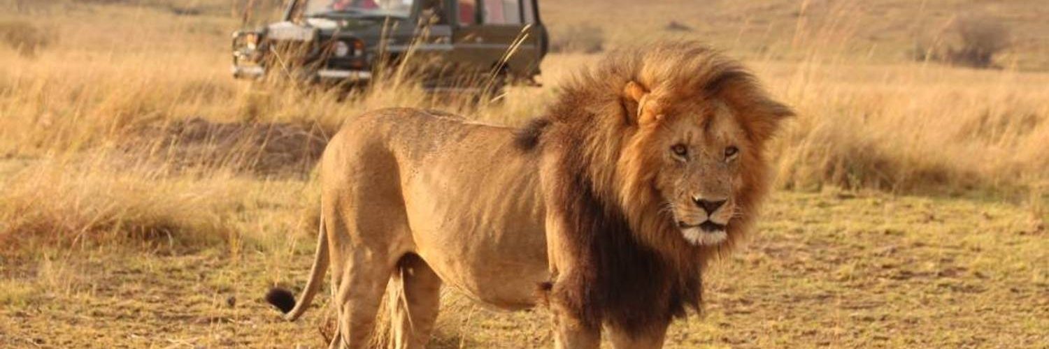 National Parks in East Africa